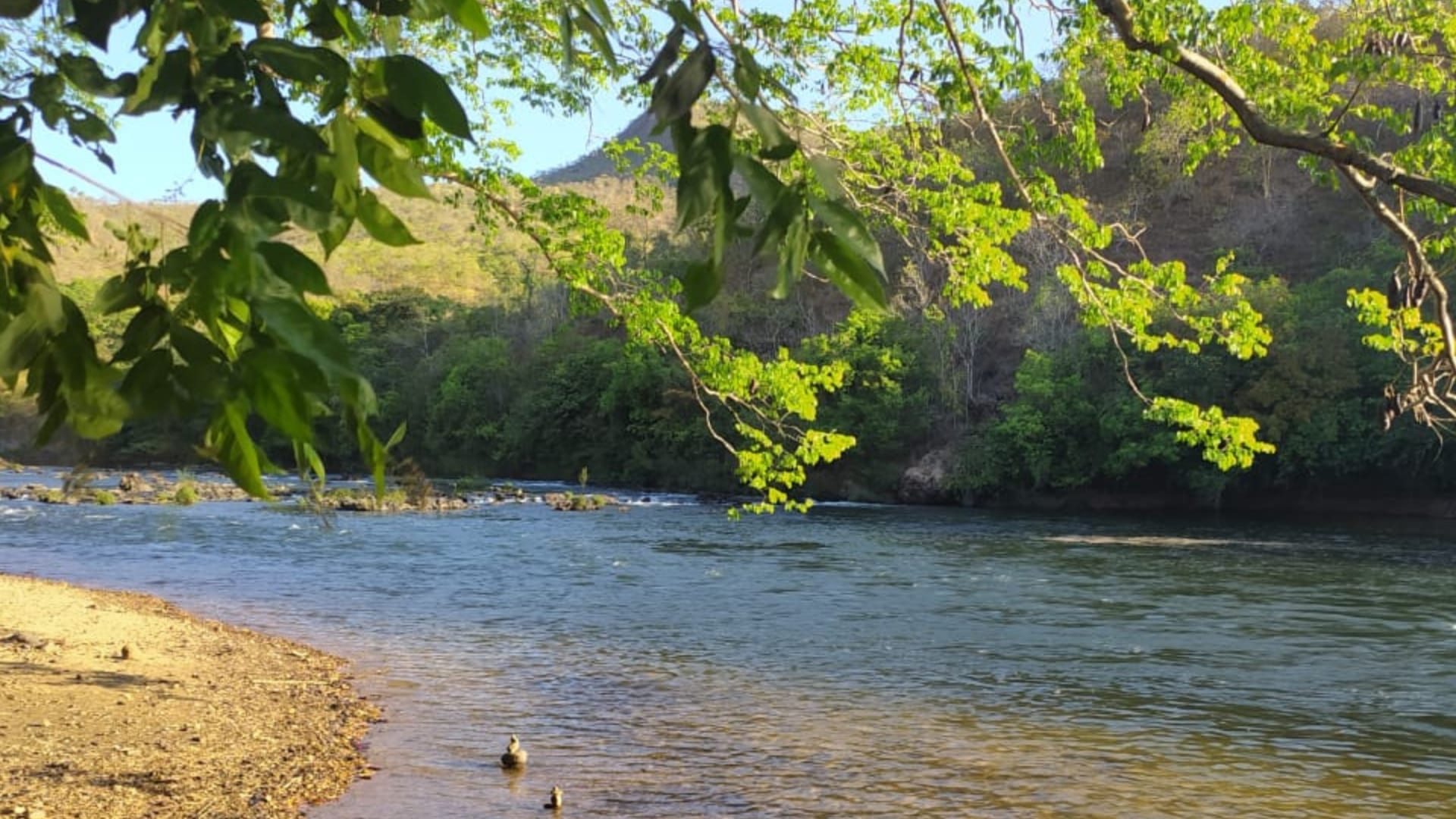 Praia das Pedras
